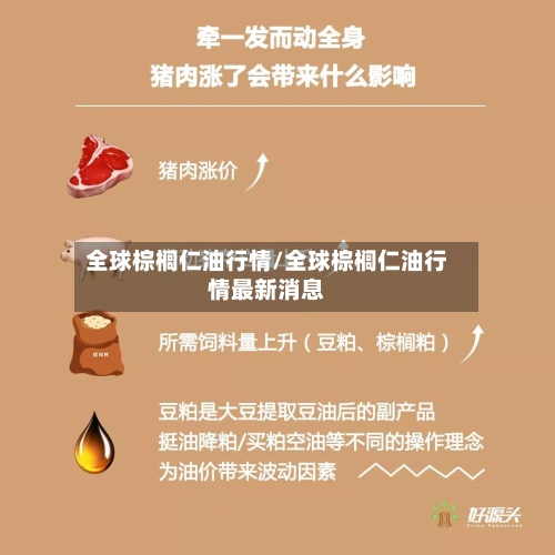 全球棕榈仁油行情/全球棕榈仁油行情最新消息-第2张图片