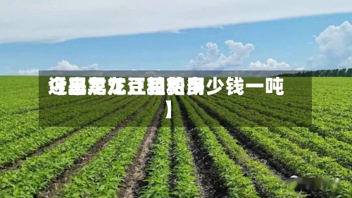 近来
【黑龙江豆粕费用
今日黑龙江豆粕多少钱一吨】
