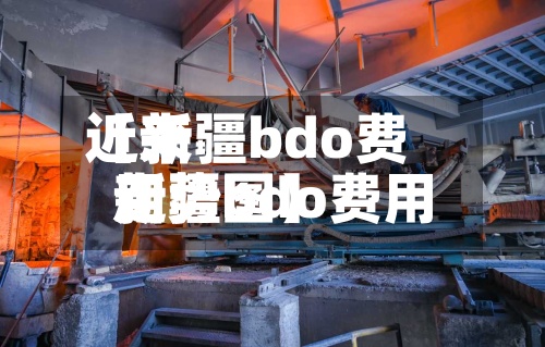 近来【新疆bdo费用新疆bdo费用走势图】