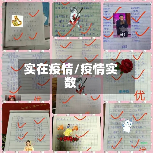 实在疫情/疫情实数