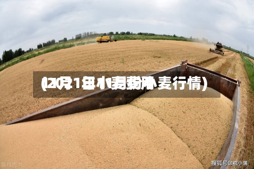 11月1日小麦费用(2021年11月份小麦行情)-第3张图片