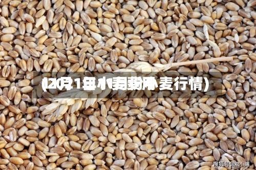 11月1日小麦费用
(2021年11月份小麦行情)