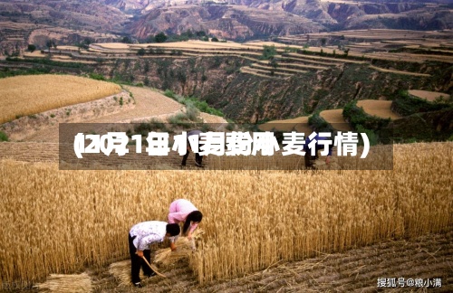 11月1日小麦费用(2021年11月份小麦行情)-第2张图片