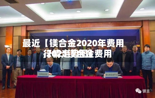 最近【镁合金2020年费用
,2021镁合金费用
行情走势图】-第2张图片