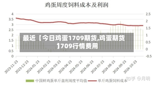 最近【今日鸡蛋1709期货,鸡蛋期货1709行情费用
】-第2张图片