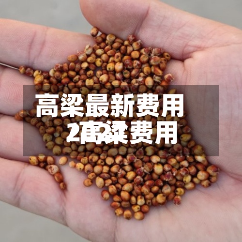 高梁最新费用
/高粱费用
2021