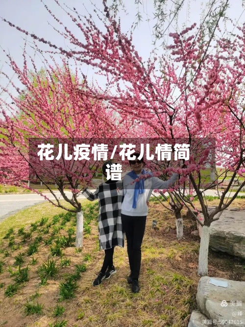 花儿疫情/花儿情简谱-第2张图片