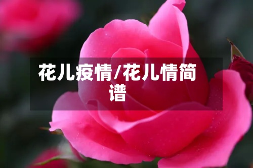 花儿疫情/花儿情简谱