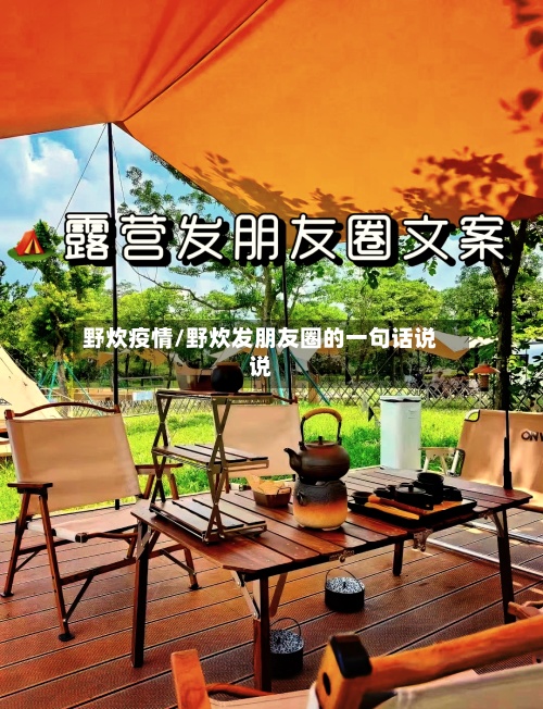 野炊疫情/野炊发朋友圈的一句话说说-第2张图片