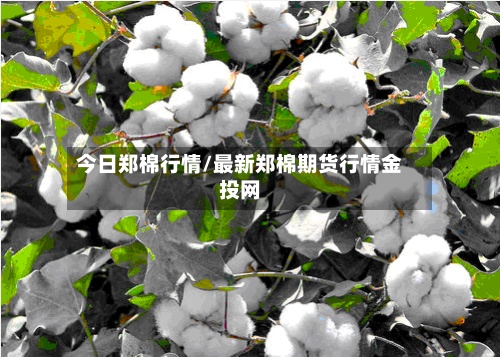 今日郑棉行情/最新郑棉期货行情金投网