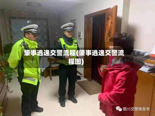 肇事逃逸交警流程(肇事逃逸交警流程图)