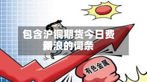 包含沪铜期货今日费用
新浪的词条