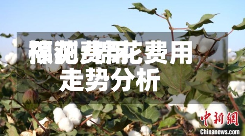 棉花费用预测/棉花费用走势分析