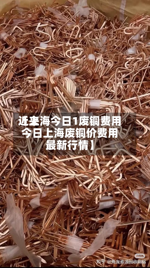 近来
【上海今日1废铜费用
今日上海废铜价费用
最新行情】-第2张图片