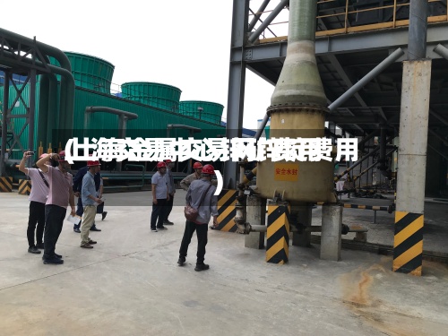 上海交易中心锌矿费用(上海金属交易网锌锭费用)