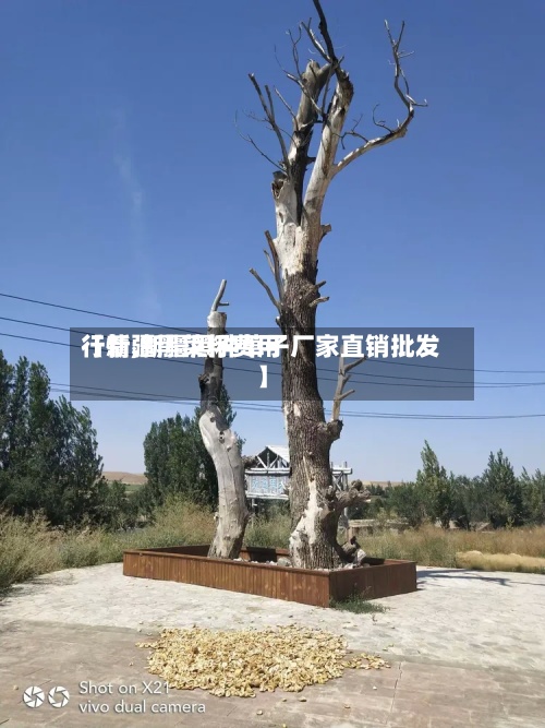 【新疆黑菜籽费用
行情,新疆黑种草子厂家直销批发】