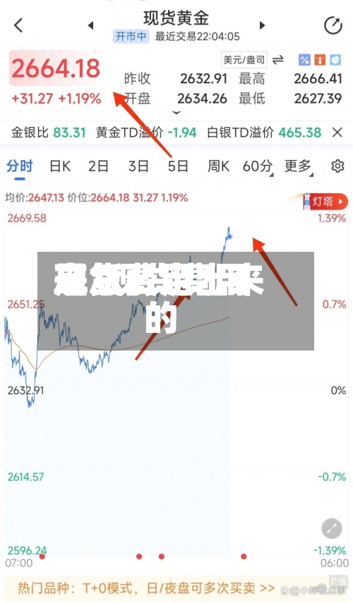 现货费用
忘/现货费用
是怎么定出来的
