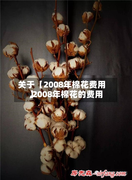 关于【2008年棉花费用,2008年棉花的费用】