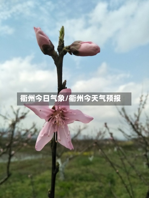 衢州今日气象/衢州今天气预报-第2张图片