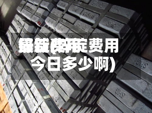 锌锭费用
最新(锌锭费用
今日多少啊)-第2张图片