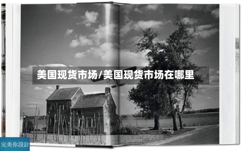美国现货市场/美国现货市场在哪里-第2张图片
