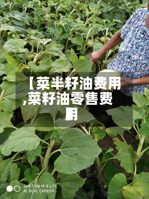 【菜半籽油费用,菜籽油零售费用】