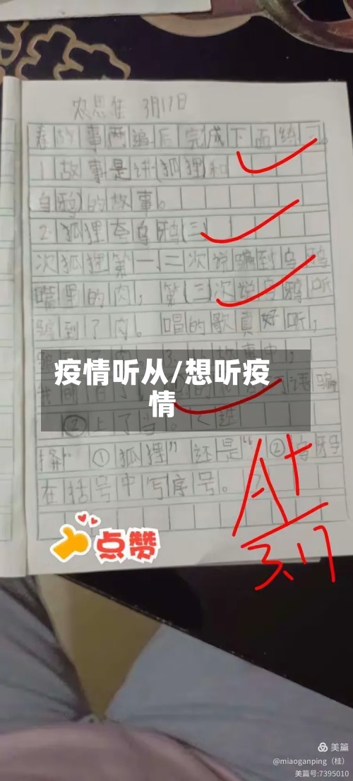 疫情听从/想听疫情-第2张图片