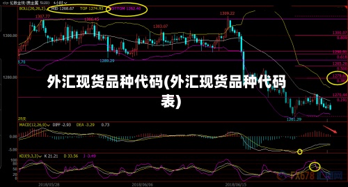 外汇现货品种代码(外汇现货品种代码表)-第2张图片