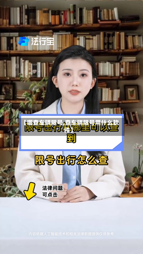 【哪查车辆限号,查车辆限号用什么软件】-第2张图片