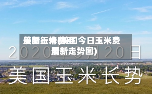 美国玉米费用
最新行情(美国今日玉米费用
最新走势图)-第2张图片