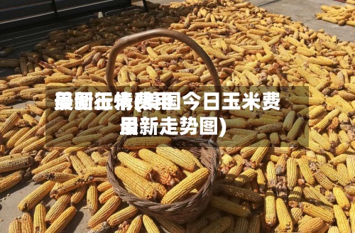 美国玉米费用
最新行情(美国今日玉米费用
最新走势图)
