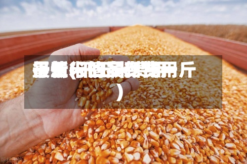 干玉米的最新费用行情(干玉米费用最新行情多少钱一斤)