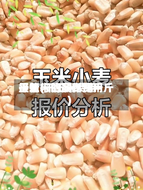 干玉米的最新费用
行情(干玉米费用
最新行情多少钱一斤)-第3张图片