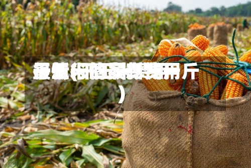 干玉米的最新费用
行情(干玉米费用
最新行情多少钱一斤)-第2张图片