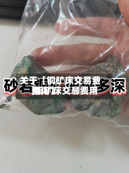 关于【铜矿床交易费用
,铜矿床交易费用
查询】