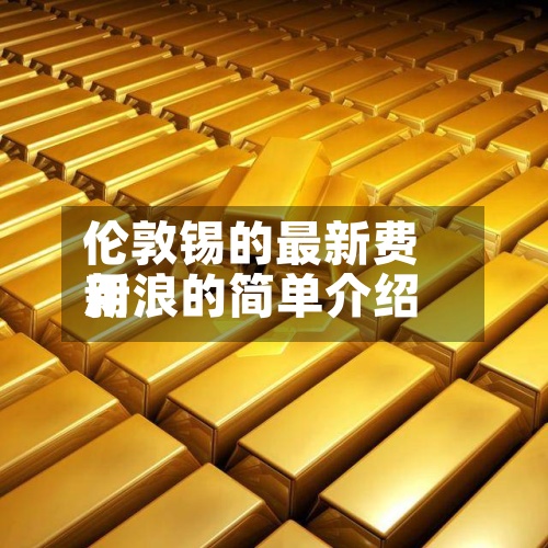 伦敦锡的最新费用
新浪的简单介绍