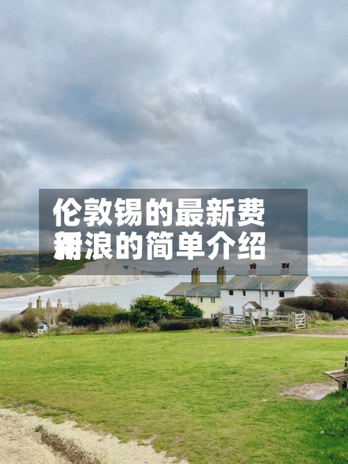 伦敦锡的最新费用新浪的简单介绍-第3张图片