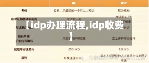 【idp办理流程,idp收费】
