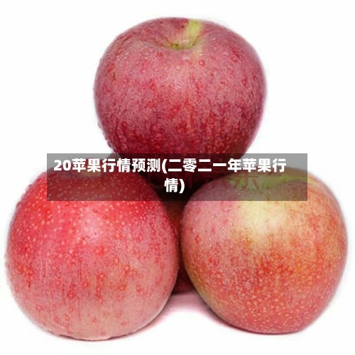 20苹果行情预测(二零二一年苹果行情)-第2张图片