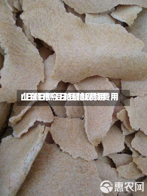 山东日照豆粕最新费用/日照市今日豆粕现货费用