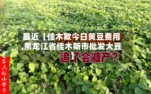 最近【佳木欺今日黄豆费用,黑龙江省佳木斯市批发大豆】