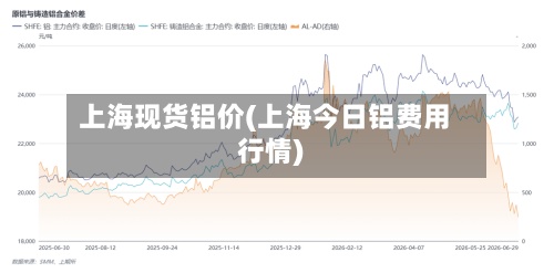 上海现货铝价(上海今日铝费用行情)