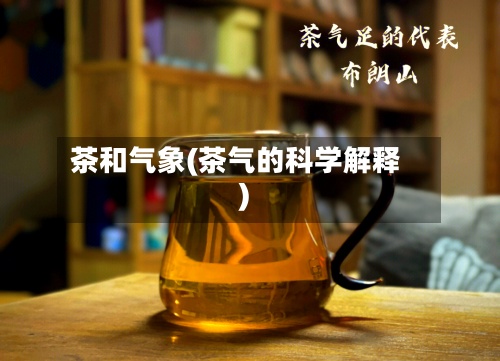 茶和气象(茶气的科学解释)-第2张图片