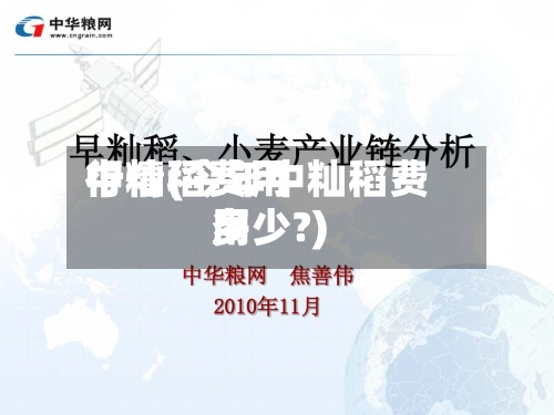中籼稻费用行情(今年中籼稻费用多少?)-第3张图片