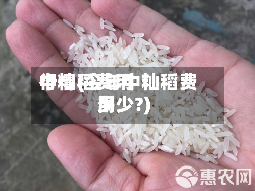 中籼稻费用行情(今年中籼稻费用多少?)-第2张图片