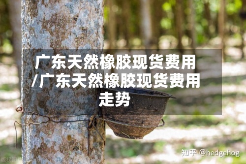 广东天然橡胶现货费用
/广东天然橡胶现货费用
走势