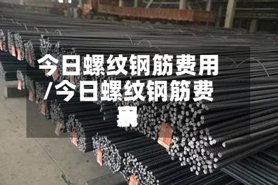 今日螺纹钢筋费用
/今日螺纹钢筋费用
表-第3张图片