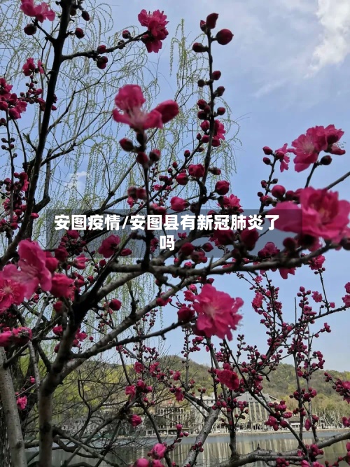 安图疫情/安图县有新冠肺炎了吗