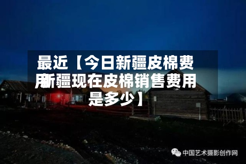 最近【今日新疆皮棉费用,新疆现在皮棉销售费用是多少】-第2张图片