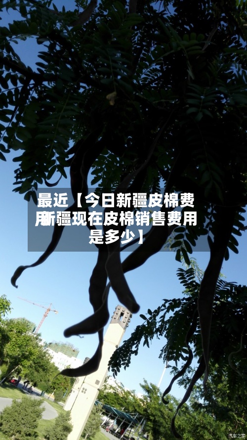 最近【今日新疆皮棉费用,新疆现在皮棉销售费用是多少】